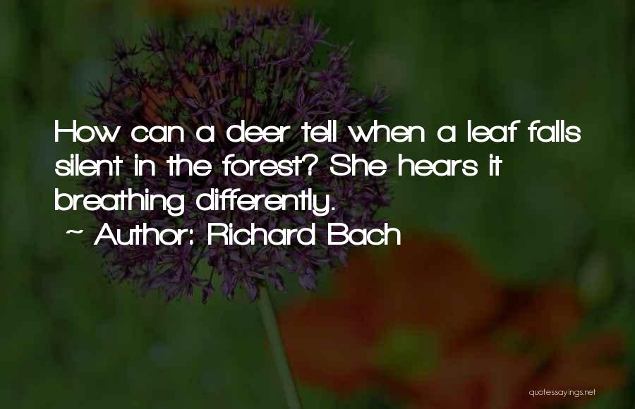 Breathing In Nature Quotes By Richard Bach
