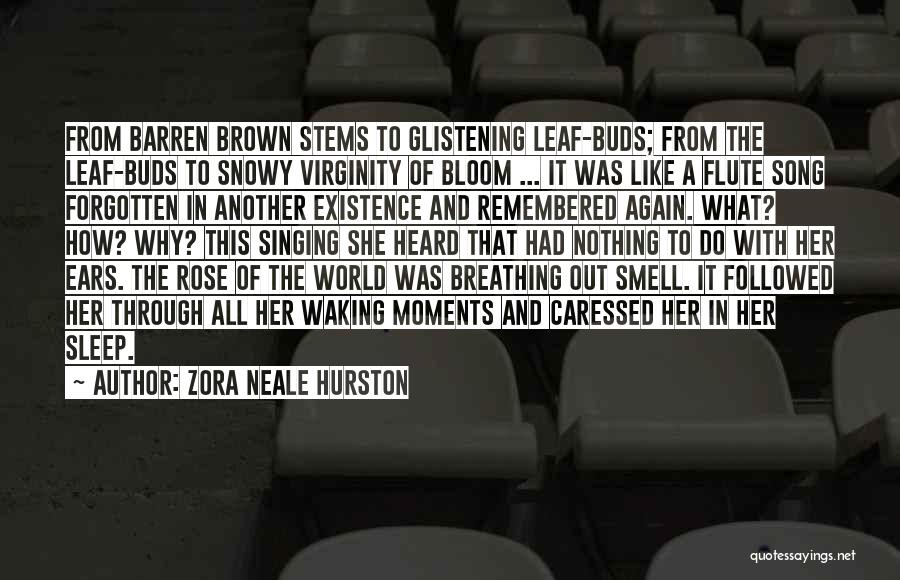 Breathing In Nature Quotes By Zora Neale Hurston