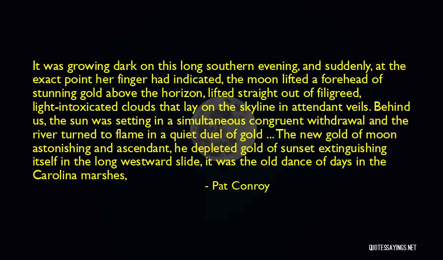 Breathtaking Quotes By Pat Conroy