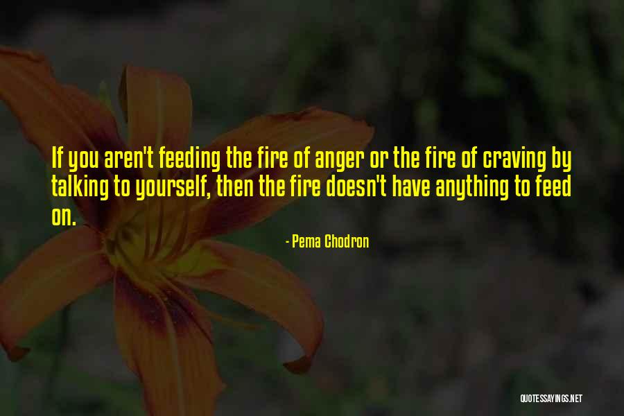 Breccia Di Quotes By Pema Chodron Breccia Di Quotes By Pema Chodron