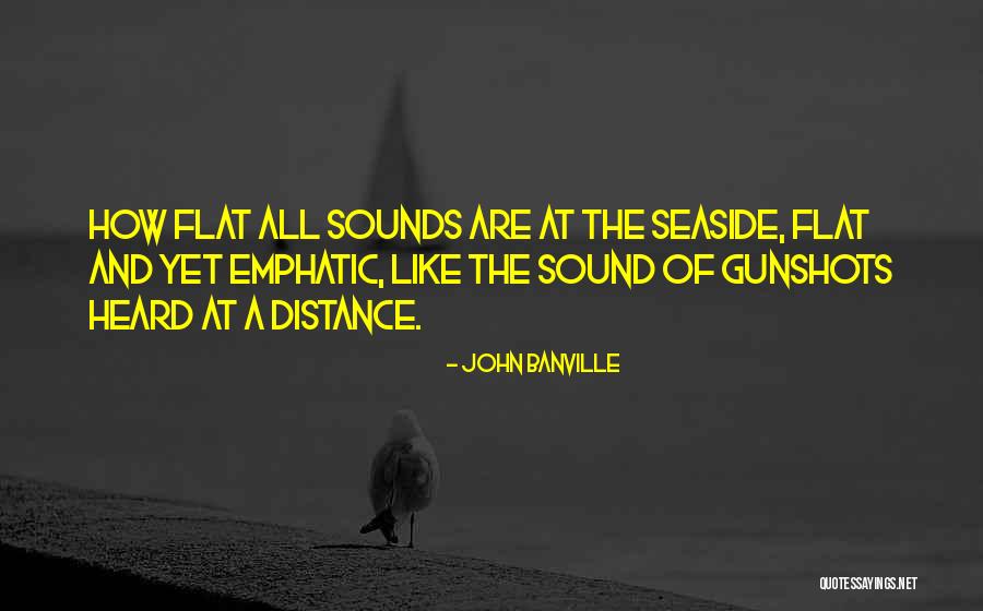 Brechot Psa Quotes By John Banville Brechot Psa Quotes By John Banville