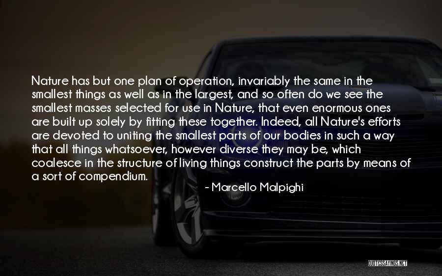 Breckinsider Quotes By Marcello Malpighi Breckinsider Quotes By Marcello Malpighi