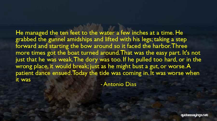 Bredal Dog Quotes By Antonio Dias Bredal Dog Quotes By Antonio Dias
