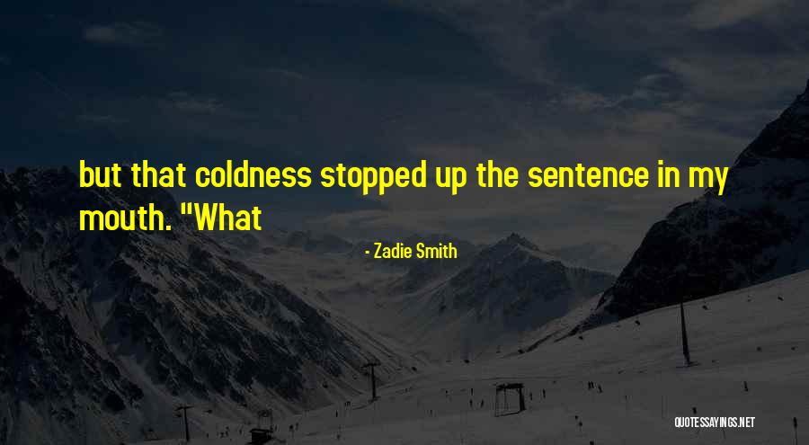 Bredfeldt Corson Quotes By Zadie Smith Bredfeldt Corson Quotes By Zadie Smith
