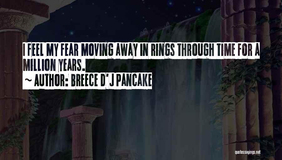 Breece D'J Pancake Quotes 1290407