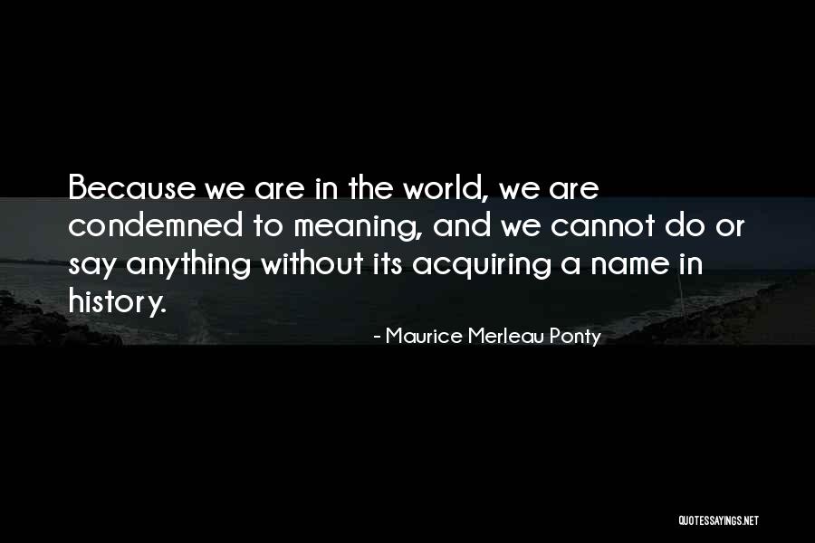 Breeching Baby Quotes By Maurice Merleau Ponty Breeching Baby Quotes By Maurice Merleau Ponty
