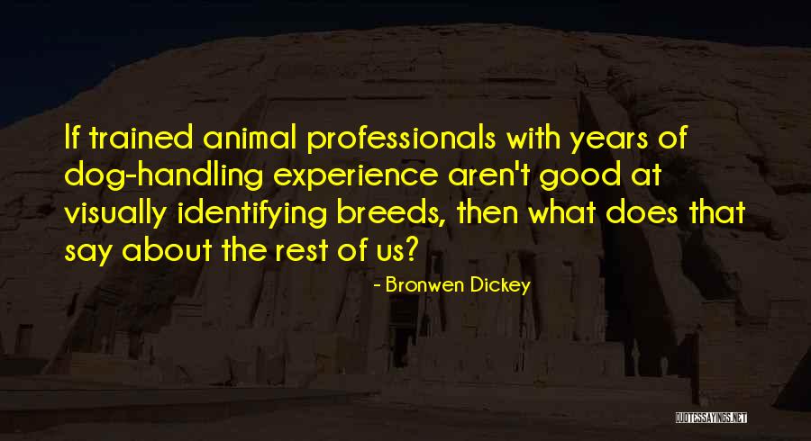 Breeds Of Dog Quotes By Bronwen Dickey Breeds Of Dog Quotes By Bronwen Dickey