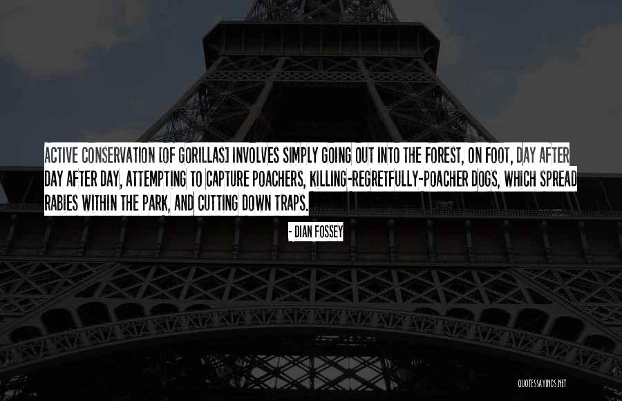 Breeland Quotes By Dian Fossey Breeland Quotes By Dian Fossey