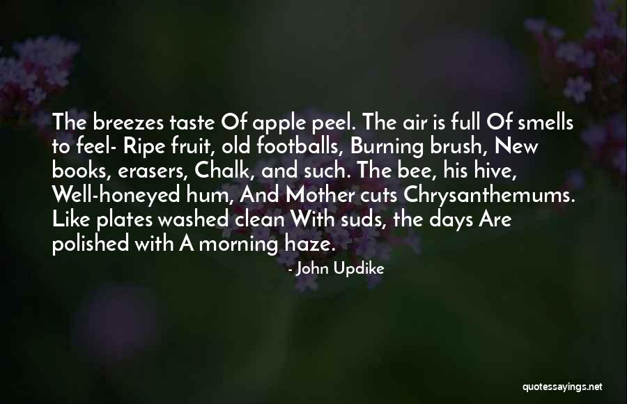 Breezes Quotes By John Updike Breezes Quotes By John Updike