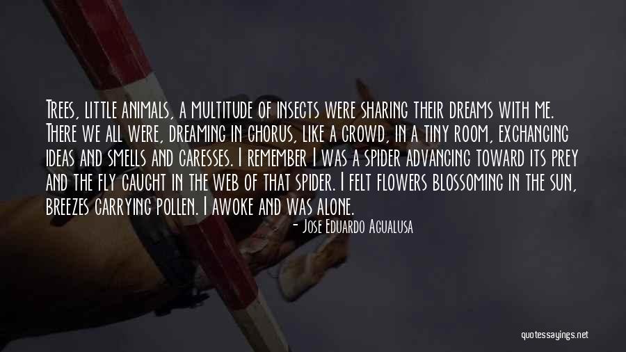 Breezes Quotes By Jose Eduardo Agualusa Breezes Quotes By Jose Eduardo Agualusa