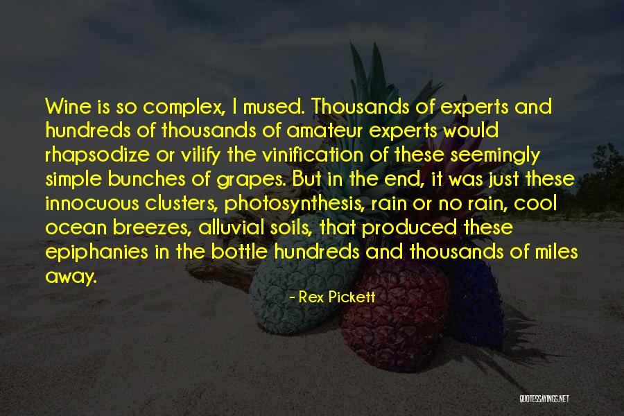 Breezes Quotes By Rex Pickett Breezes Quotes By Rex Pickett