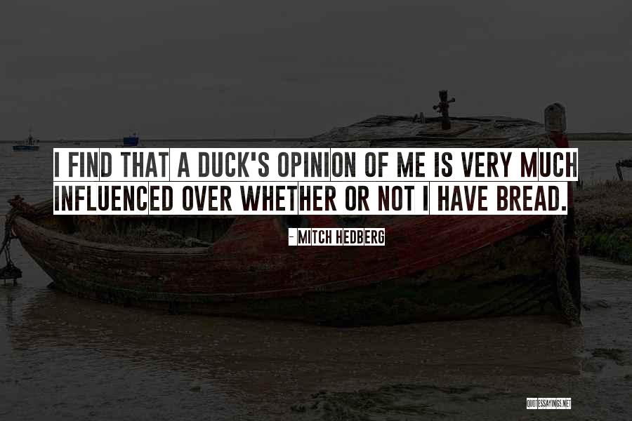 Bregan Properties Quotes By Mitch Hedberg Bregan Properties Quotes By Mitch Hedberg