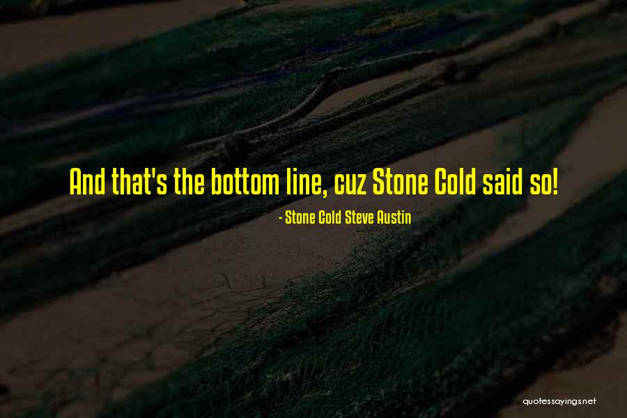Breier Quotes By Stone Cold Steve Austin Breier Quotes By Stone Cold Steve Austin