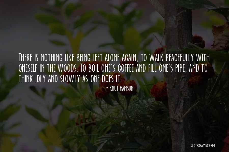 Breiman Bikini Quotes By Knut Hamsun Breiman Bikini Quotes By Knut Hamsun