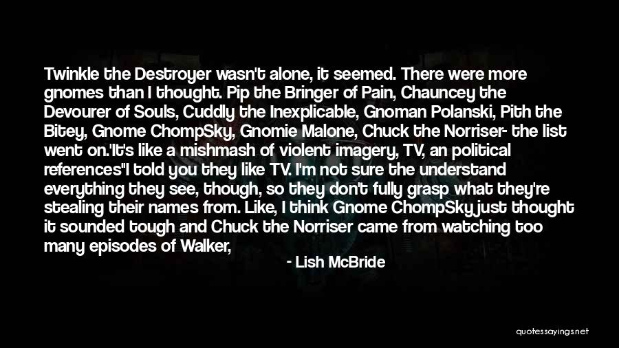 Brejkdens Quotes By Lish McBride Brejkdens Quotes By Lish McBride