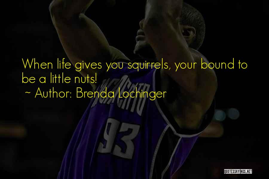 Brenda Lochinger Quotes 1132911