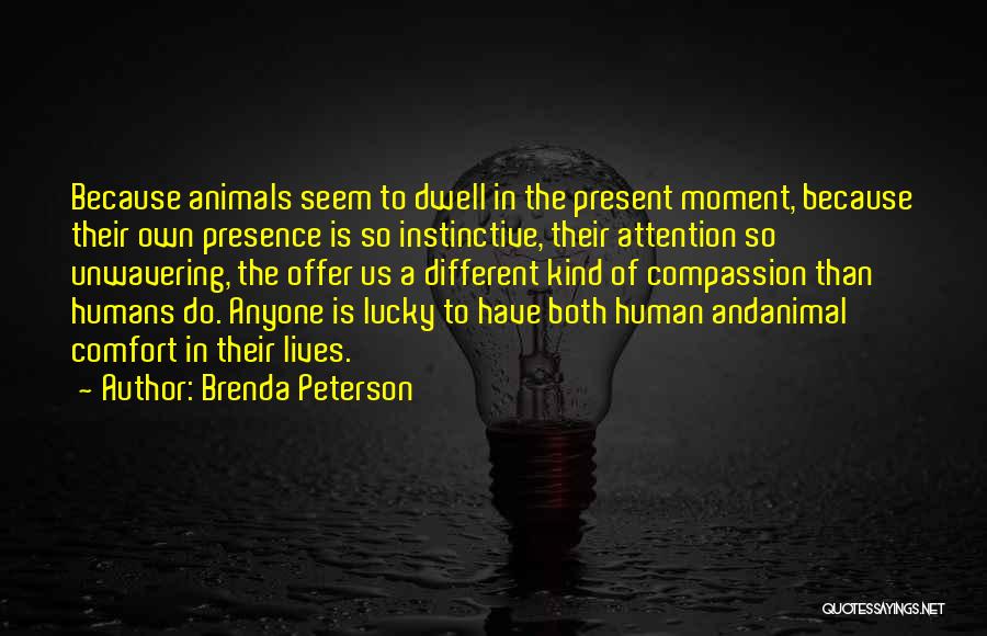 Brenda Peterson Quotes 313504 Brenda Peterson Quotes 313504