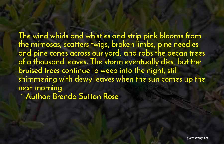 Brenda Sutton Rose Quotes 2091115