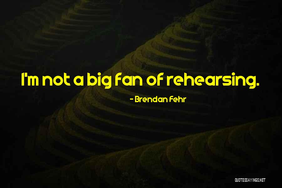 Brendan Fehr Quotes 2226573