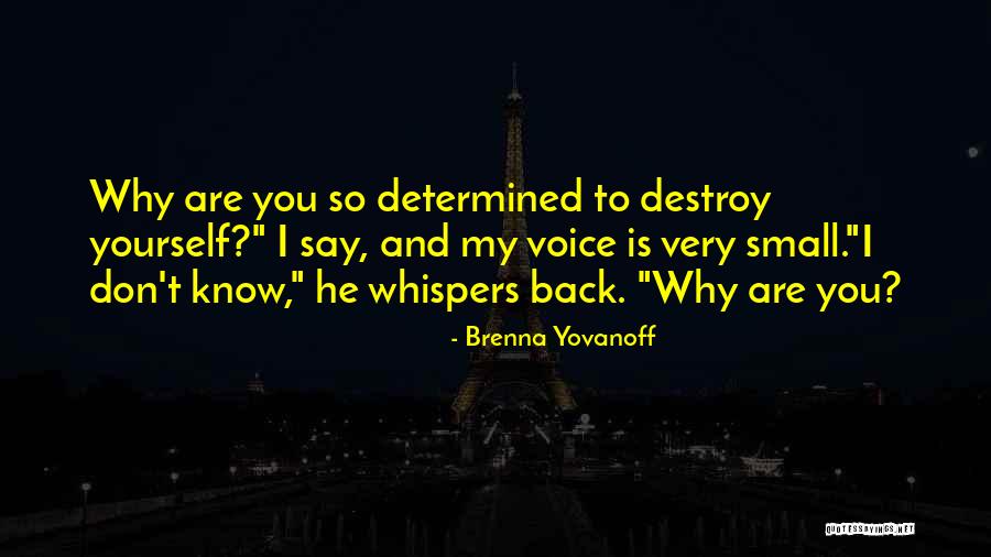 Brenna Yovanoff Quotes 1919089