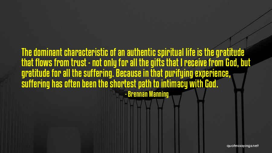 Brennan Manning Quotes 291555