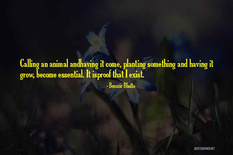 Brennende Fusssohlen Quotes By Benazir Bhutto Brennende Fusssohlen Quotes By Benazir Bhutto