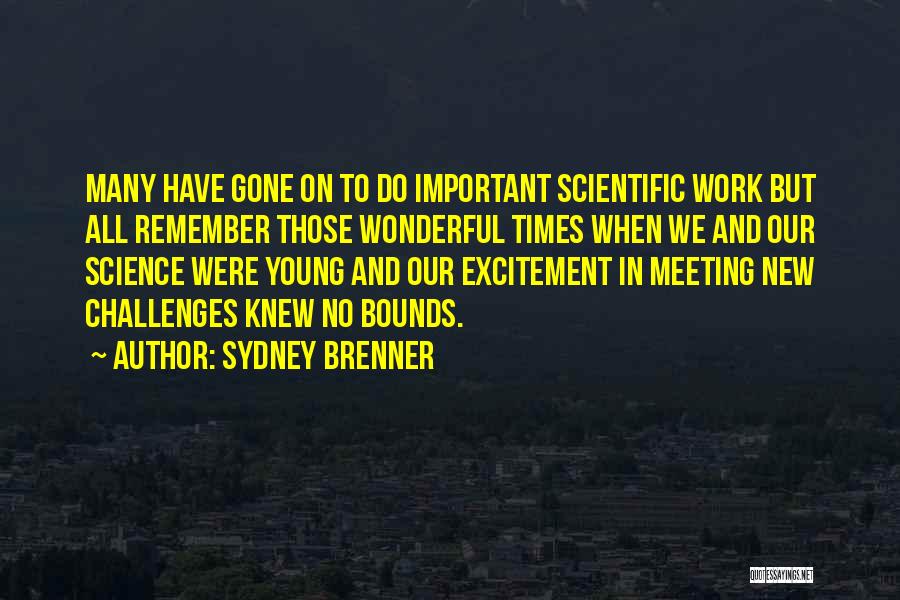 Brenner Quotes By Sydney Brenner