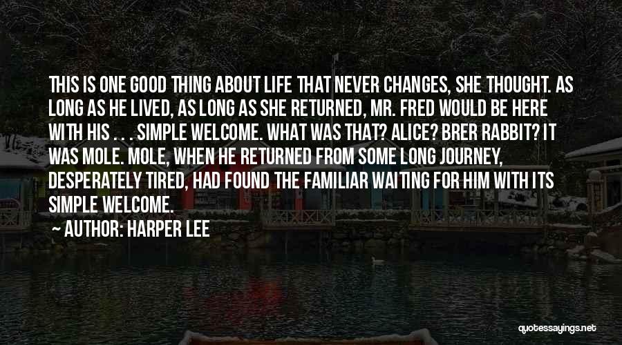 Brer Rabbit Quotes By Harper Lee