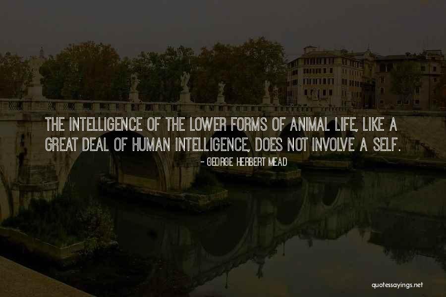 Breslov Chassidim Quotes By George Herbert Mead Breslov Chassidim Quotes By George Herbert Mead