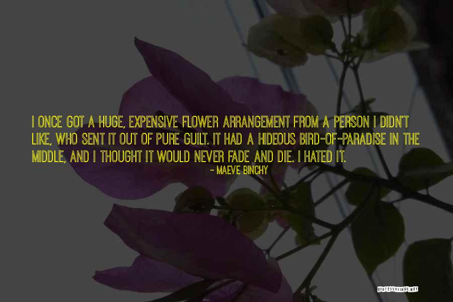 Bressack Dermatology Quotes By Maeve Binchy Bressack Dermatology Quotes By Maeve Binchy