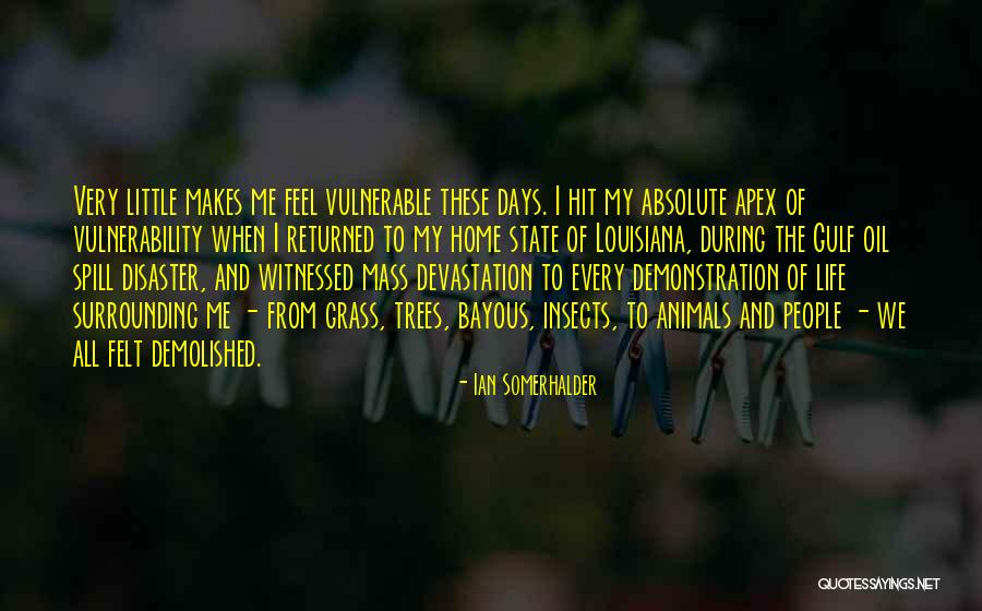 Bressani Construction Quotes By Ian Somerhalder Bressani Construction Quotes By Ian Somerhalder