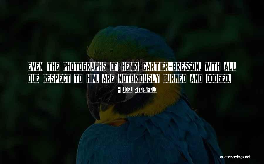 Bresson Quotes By Joel Sternfeld Bresson Quotes By Joel Sternfeld