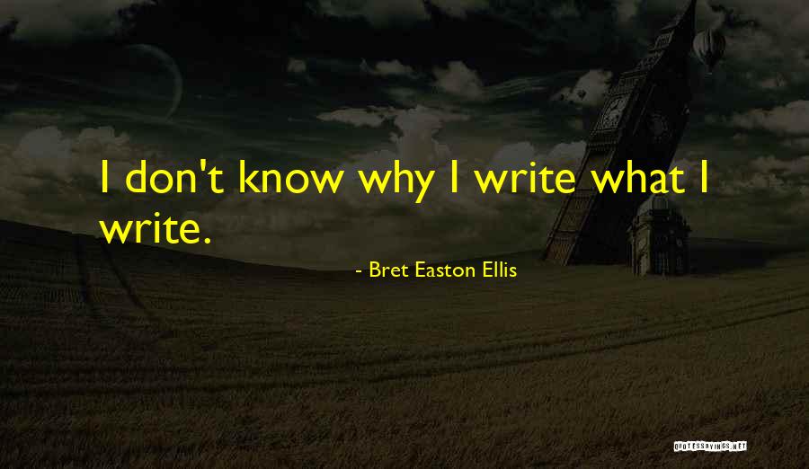 Bret Easton Ellis Quotes 968494