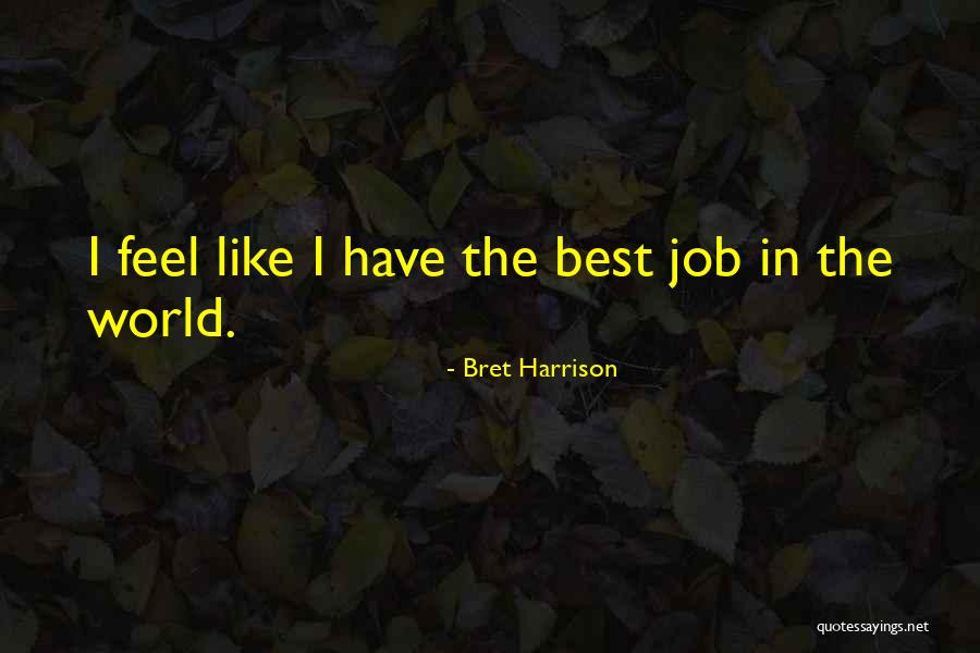 Bret Harrison Quotes 399425