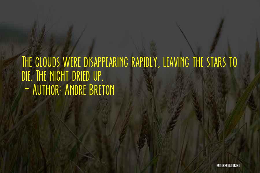 Breton Andre Quotes By Andre Breton