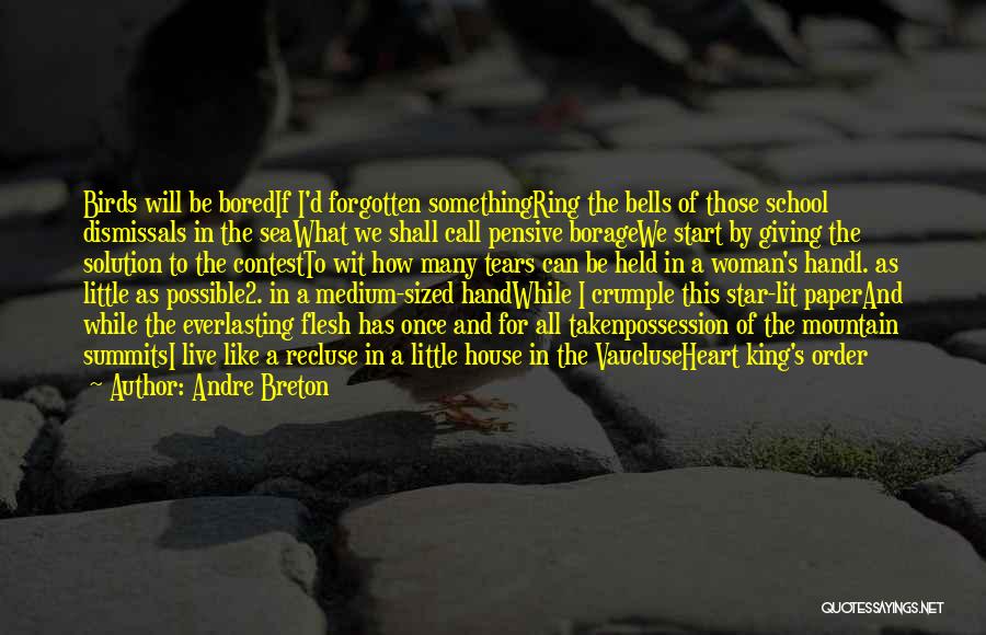 Breton Surrealism Quotes By Andre Breton