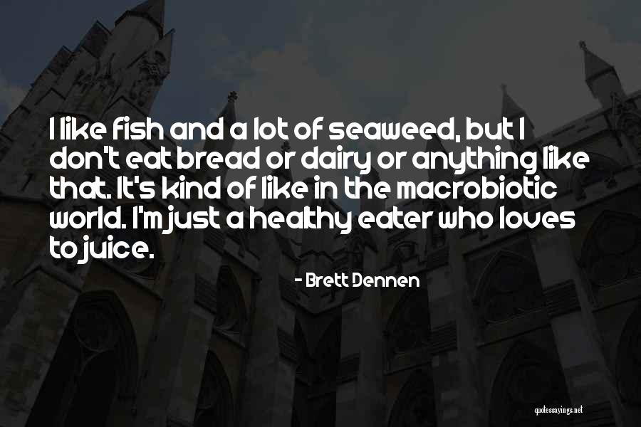 Brett Dennen Quotes 1221419