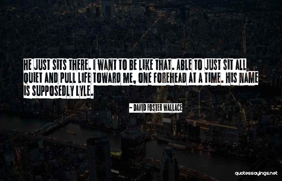 Brettschneider Trettin Nickel Quotes By David Foster Wallace Brettschneider Trettin Nickel Quotes By David Foster Wallace