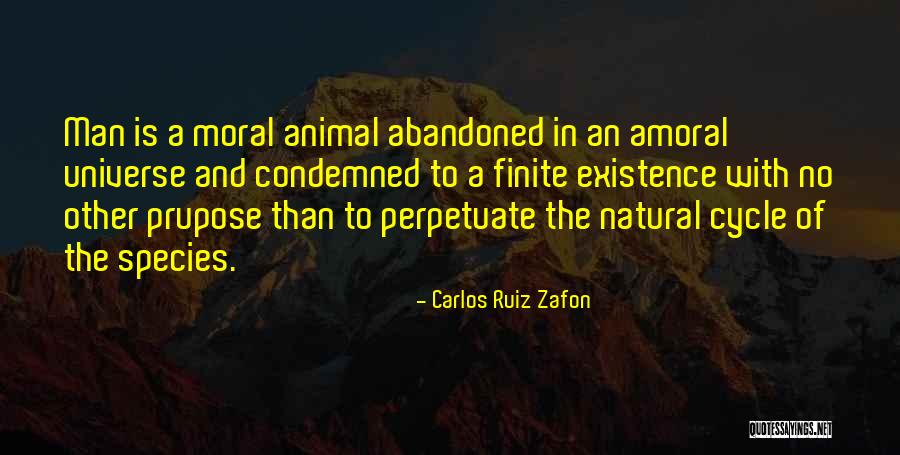 Breya Commander Quotes By Carlos Ruiz Zafon Breya Commander Quotes By Carlos Ruiz Zafon