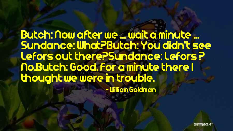 Breyana Quotes By William Goldman Breyana Quotes By William Goldman