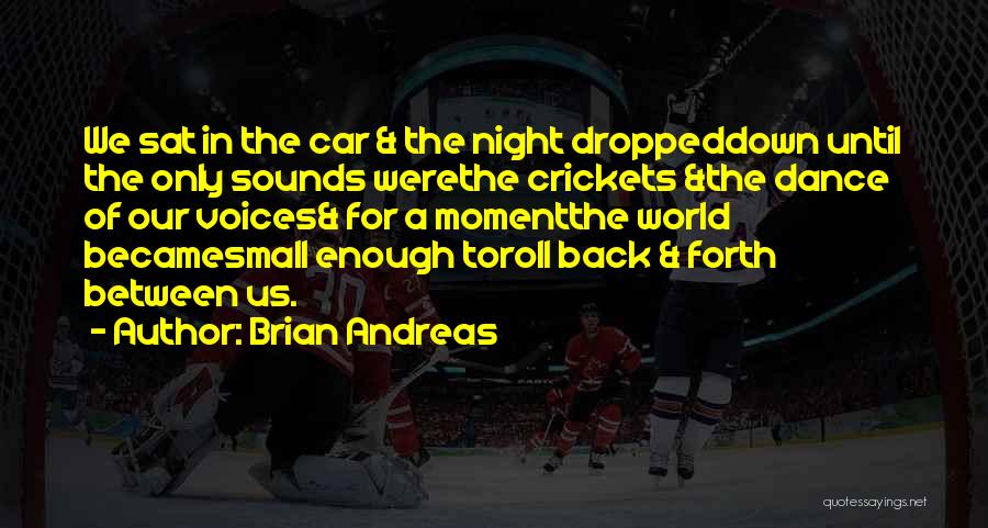 Brian Andreas Quotes 2031395