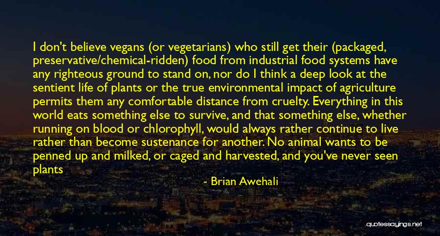 Brian Awehali Quotes 889547