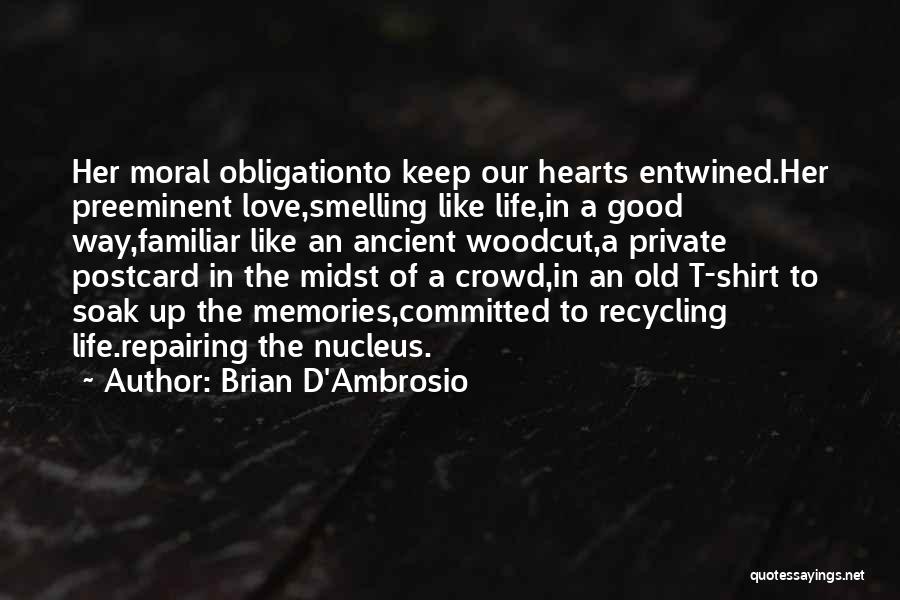Brian D'Ambrosio Quotes 1142988