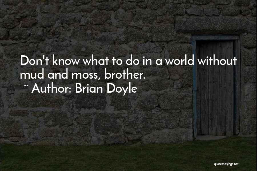 Brian Doyle Quotes 1151919