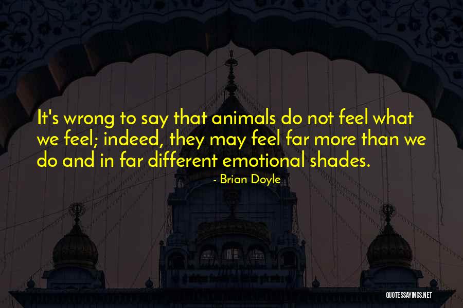 Brian Doyle Quotes 1683534