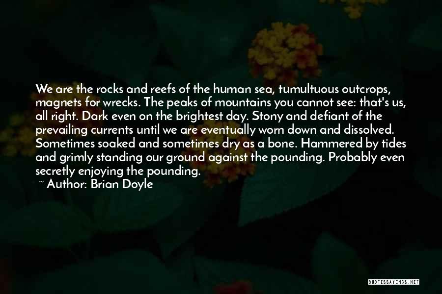 Brian Doyle Quotes 857699