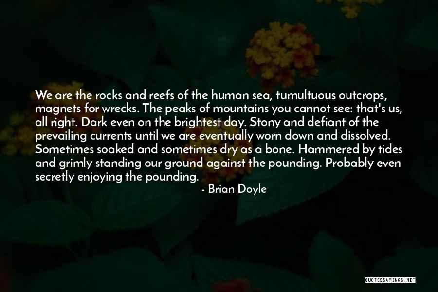 Brian Doyle Quotes 857699