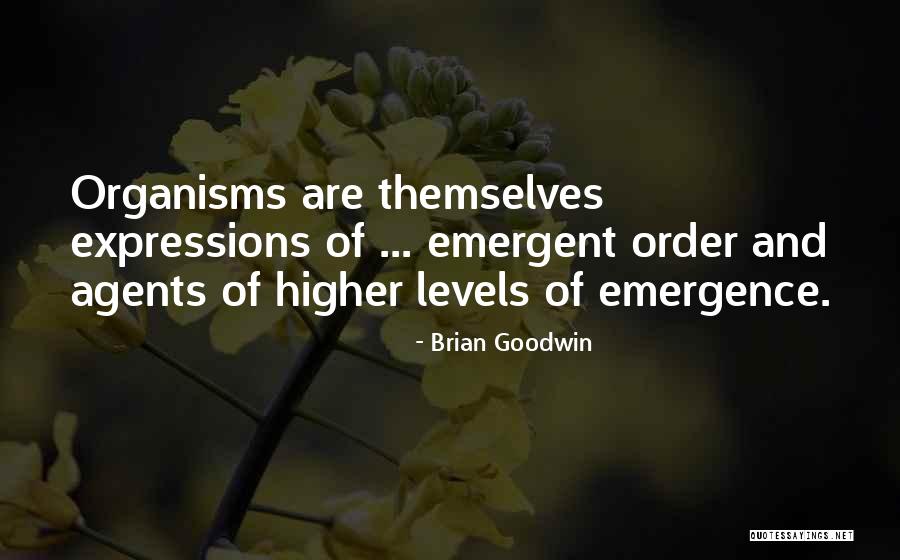 Brian Goodwin Quotes 966657