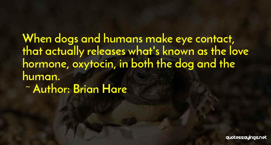 Brian Hare Quotes 316706