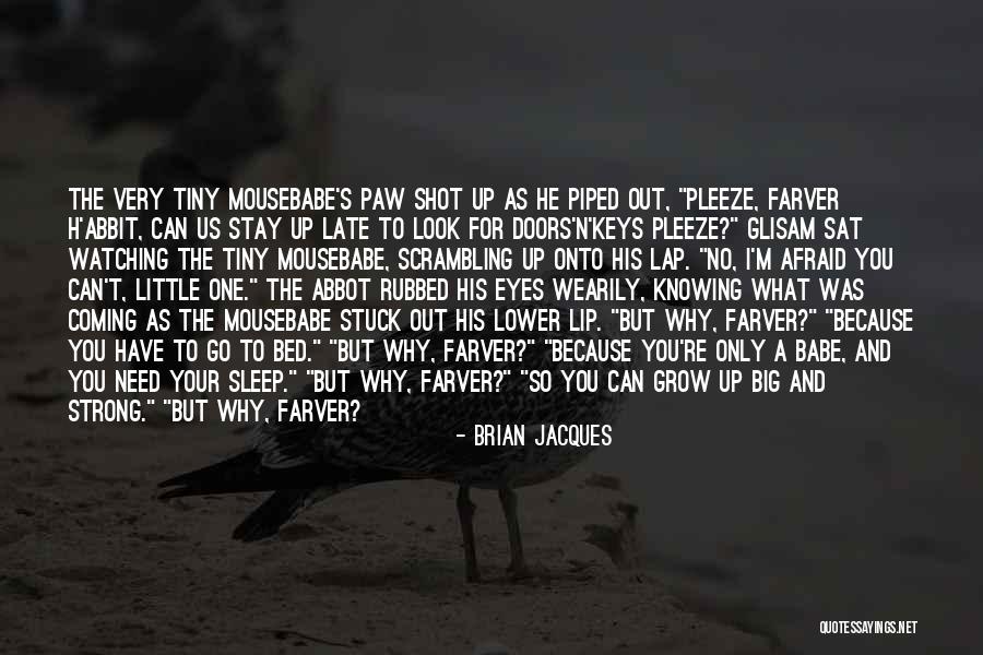 Brian Jacques Quotes 1938732 Brian Jacques Quotes 1938732